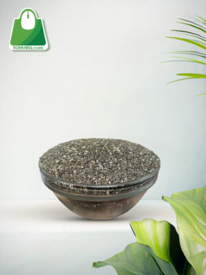 Chia Seed (চিয়া বীজ)